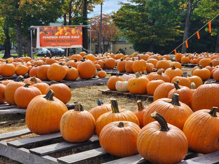 North Notes: Pumpkin patch at Central Church
