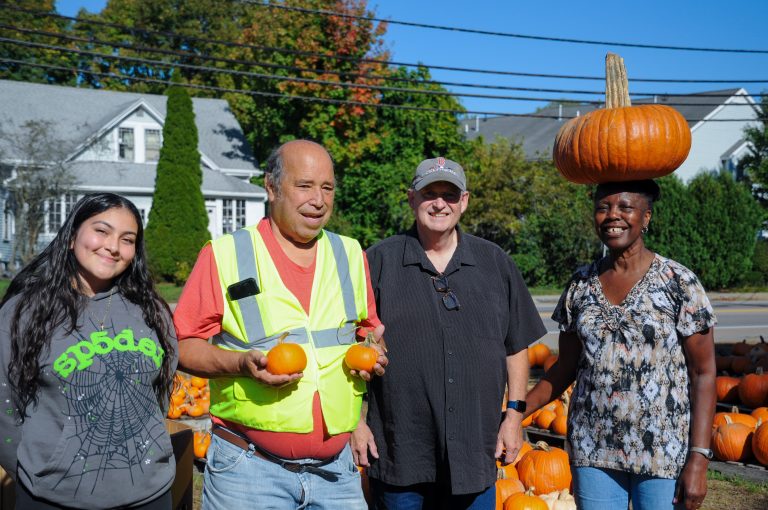 Fun fall activities to fill the spooky season