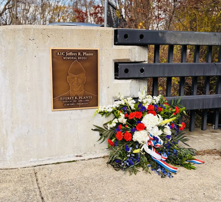 Veterans Day observance includes tribute to local airman