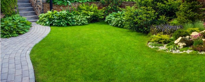 Preparing North Attleboro Lawns for a New Season