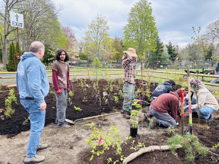 Clark University faculty, students, establish diverse ecosystem at Capron Park