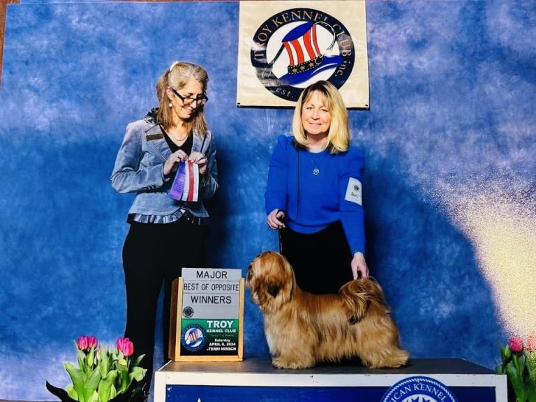 Attleboro resident to judge at Westminster Kennel Club Dog Show